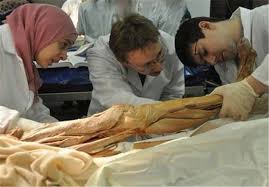 مدت مراجعه به پزشکی قانونی