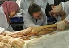 مدت مراجعه به پزشکی قانونی